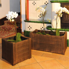саксия Teak