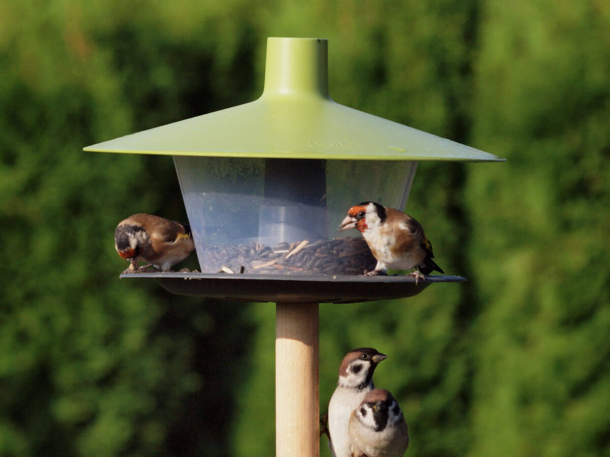 Хранилка за прици Finch - Image 2