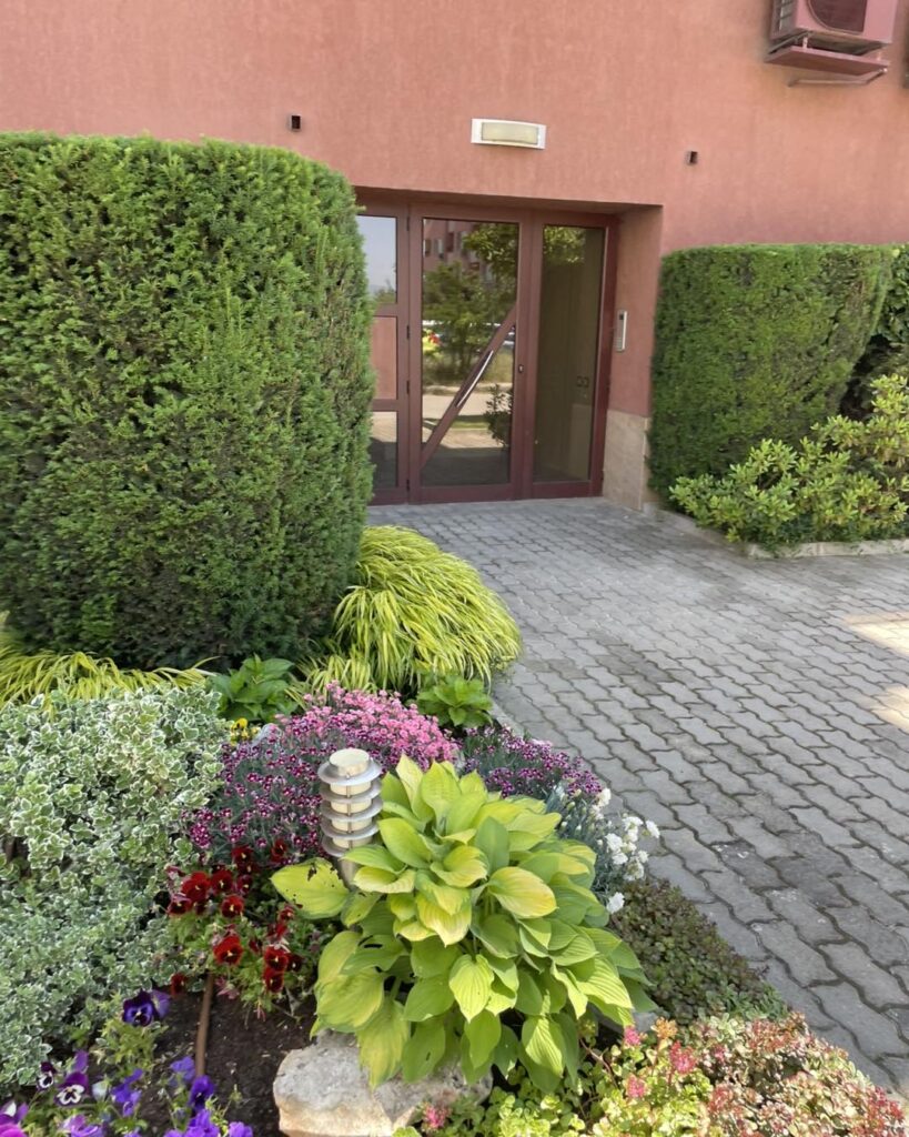 цветна растителност