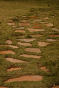 green grass with stepping stone